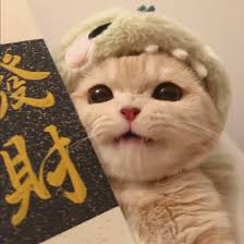 Ảnh đại diện của Hải Đăng